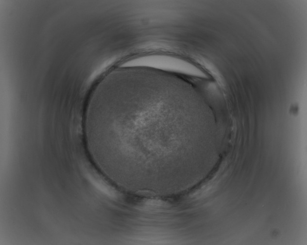 X0000093100399200710101542