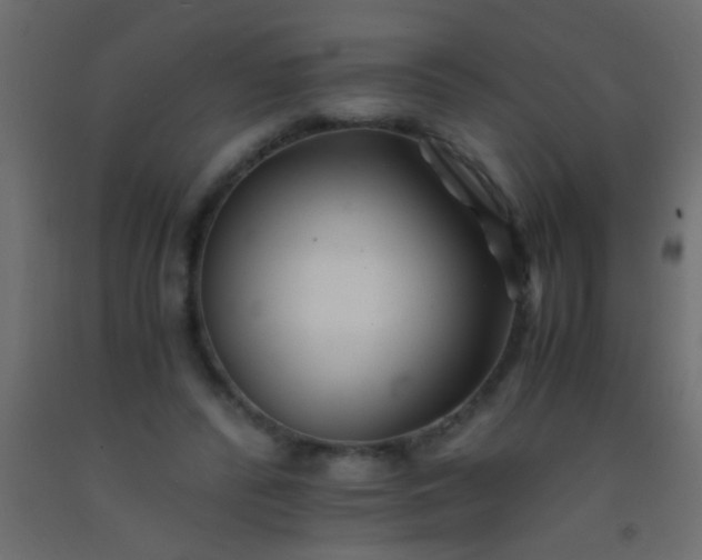 X0000093100400200710101542
