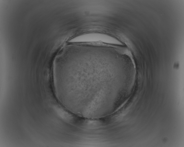 X0000093100401200710101542