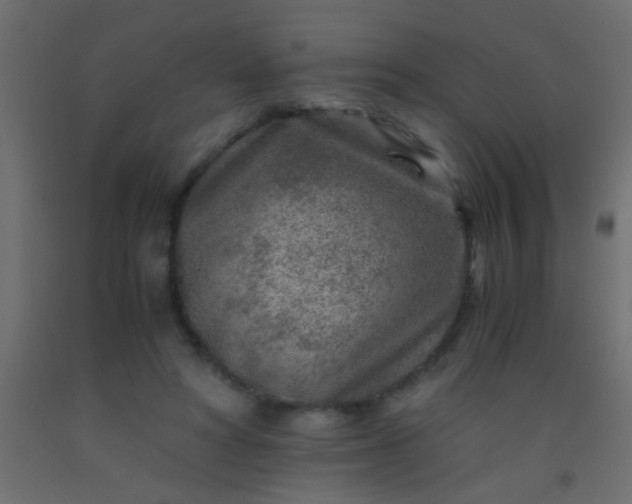 X0000093100402200710101542