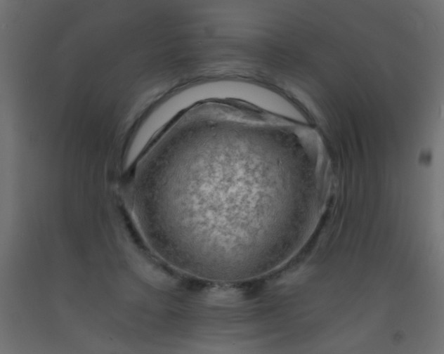 X0000093100403200710101542