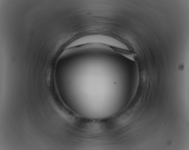 X0000093100404200710101542