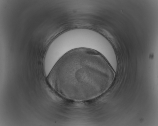X0000093100405200710101542