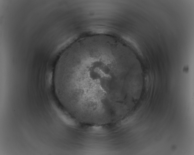 X0000093100406200710101542