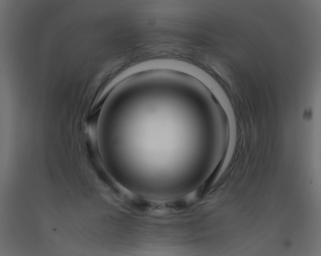 X0000093100407200710101542
