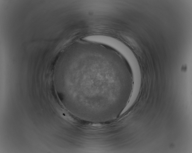 X0000093100409200710101542