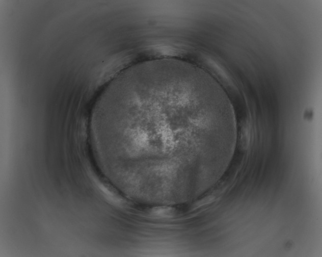X0000093100410200710101542
