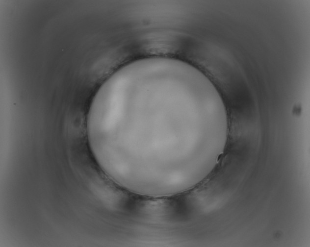 X0000093100411200710101542