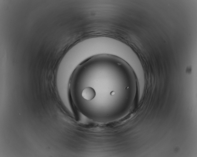 X0000093100412200710101542