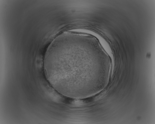 X0000093100413200710101542
