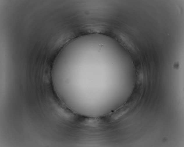X0000093100414200710101542