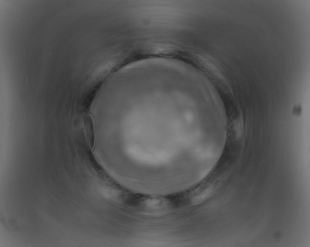 X0000093100415200710101542