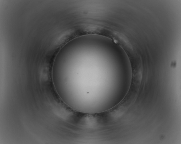 X0000093100416200710101542