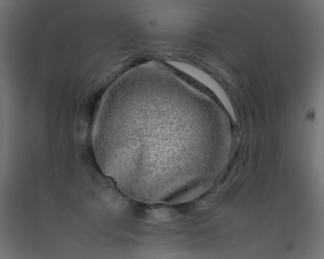 X0000093100417200710101542
