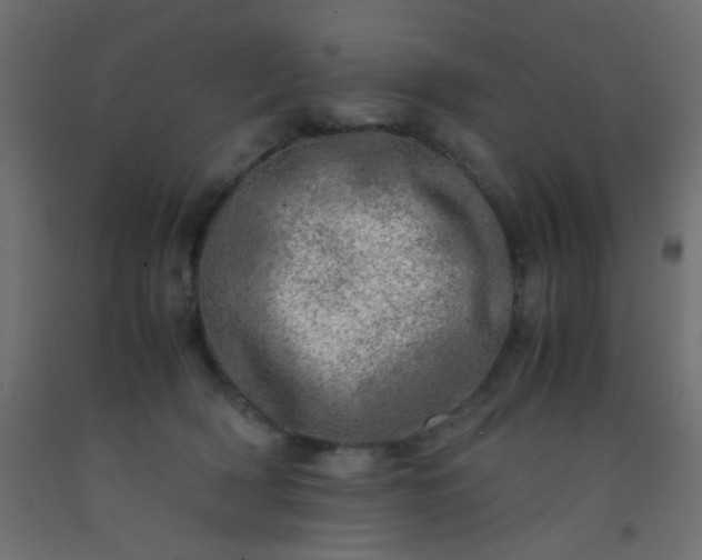X0000093100418200710101542