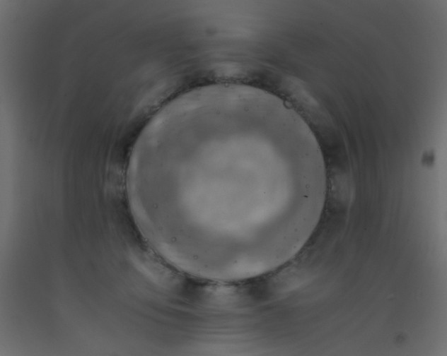X0000093100419200710101542