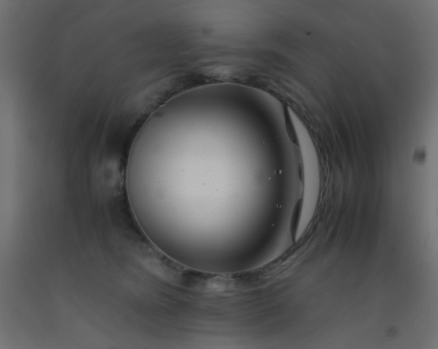 X0000093100420200710101542