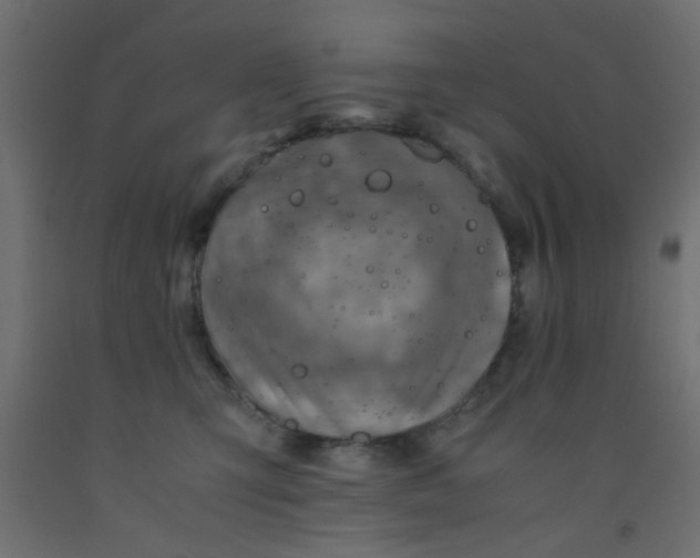 X0000093100423200710101542