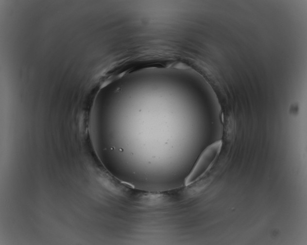 X0000093100428200710101542