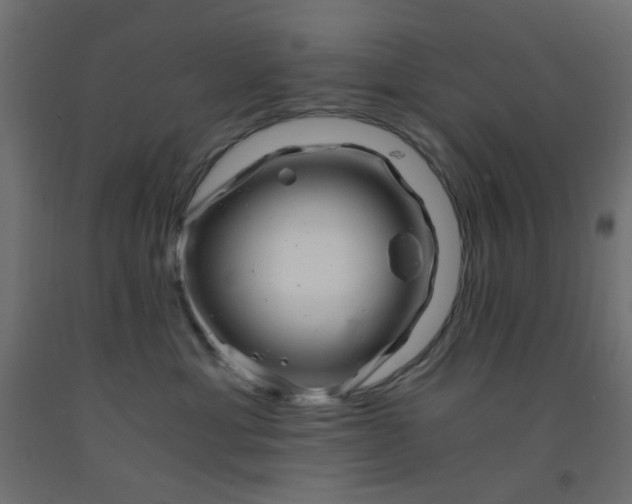 X0000093100429200710101542