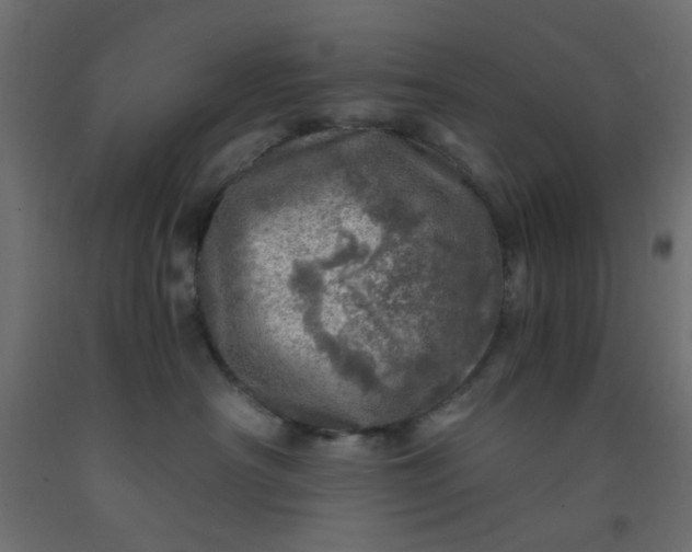 X0000093100430200710101542