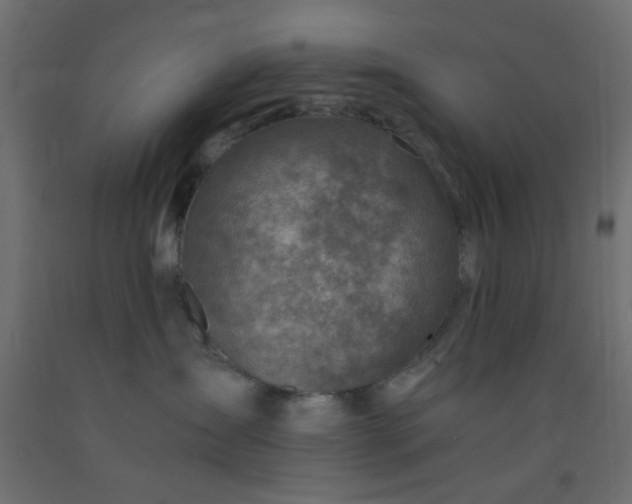 X0000093100431200710101542