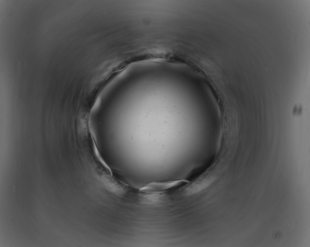 X0000093100432200710101542