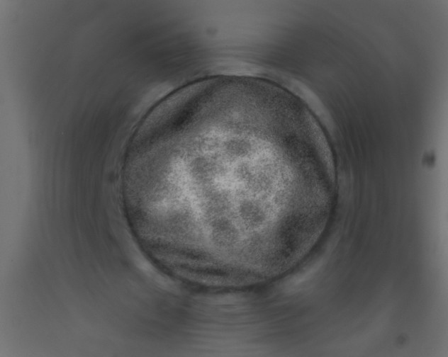X0000093100433200710101541