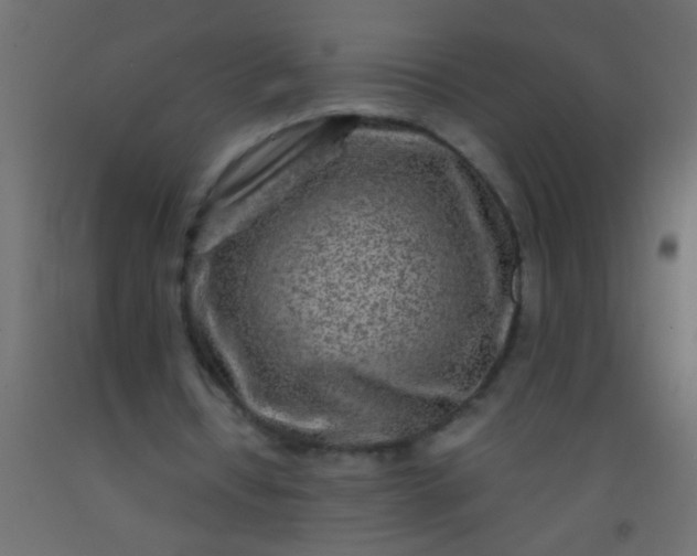 X0000093100434200710101541