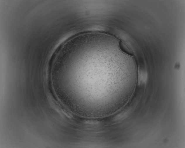 X0000093100435200710101541
