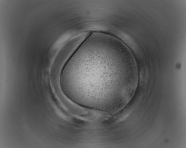 X0000093100436200710101541
