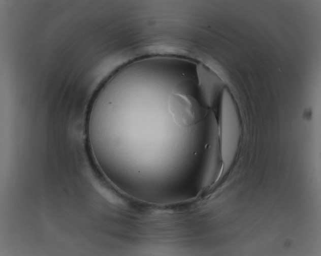 X0000093100438200710101541