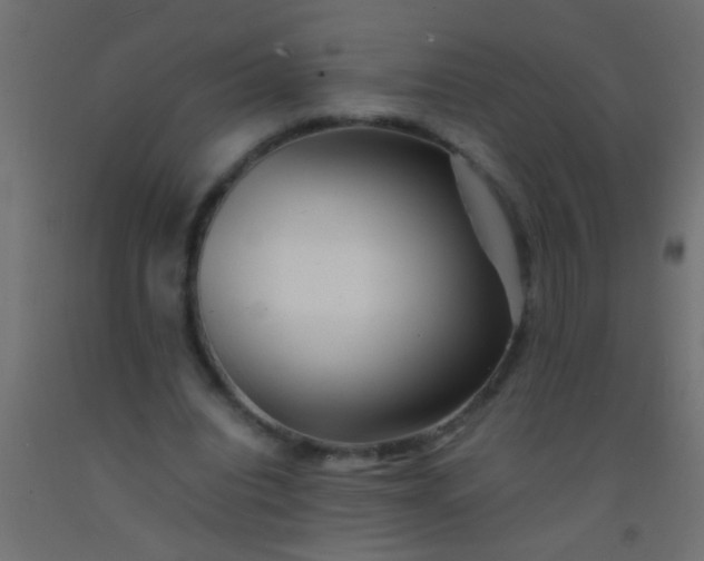 X0000093100440200710101541