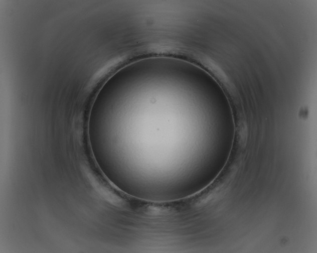 X0000093100442200710101541