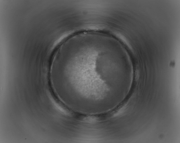 X0000093100444200710101541
