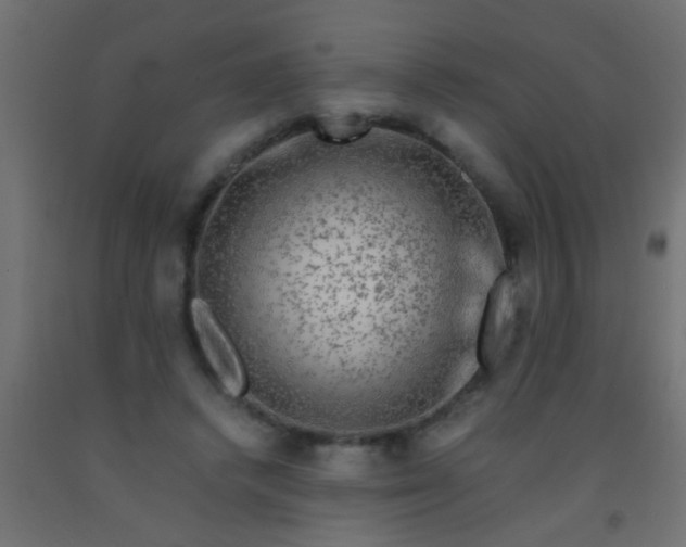 X0000093100448200710101541