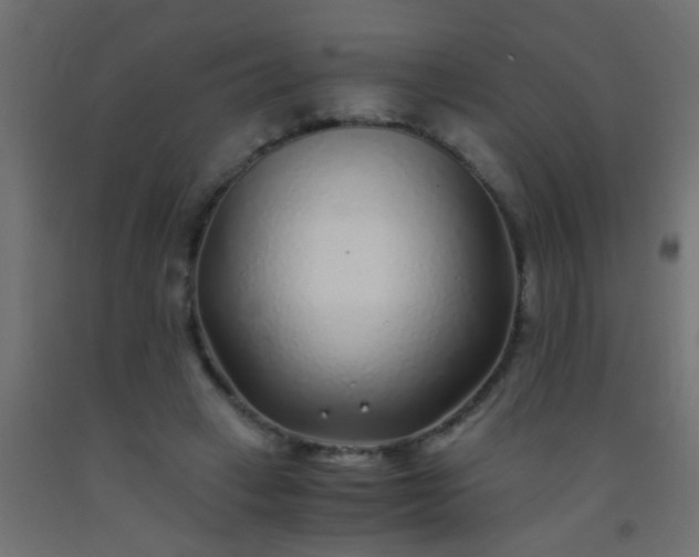 X0000093100449200710101541