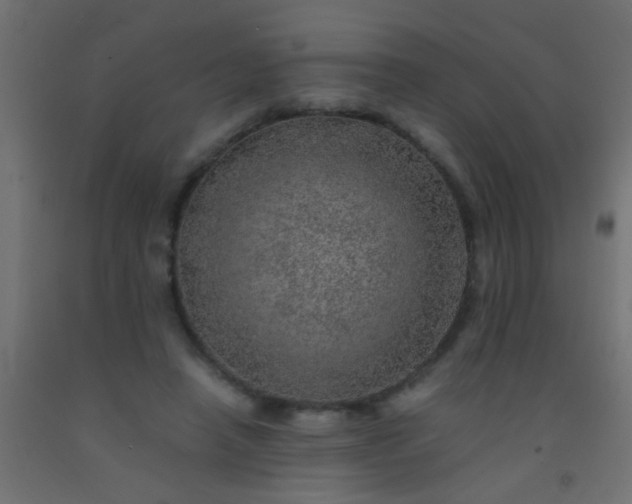 X0000093100450200710101541