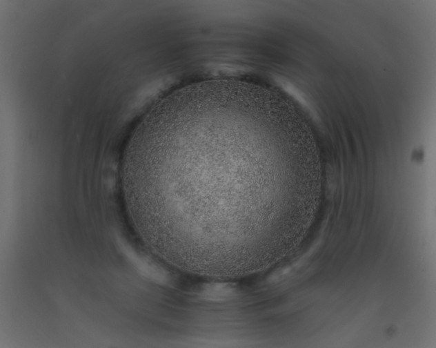 X0000093100451200710101541