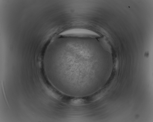 X0000093100452200710101541