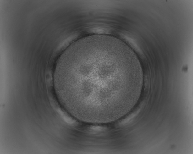 X0000093100453200710101541