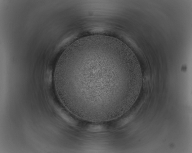 X0000093100454200710101541