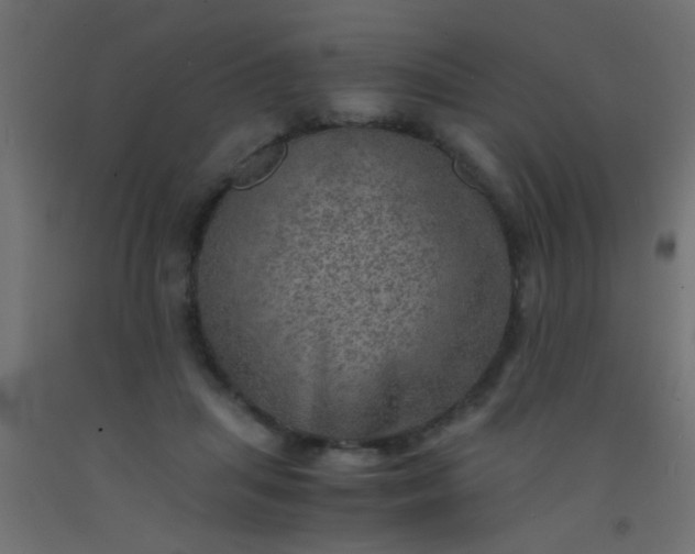X0000093100455200710101541