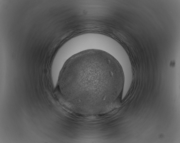 X0000093100456200710101541