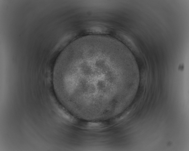 X0000093100457200710101541