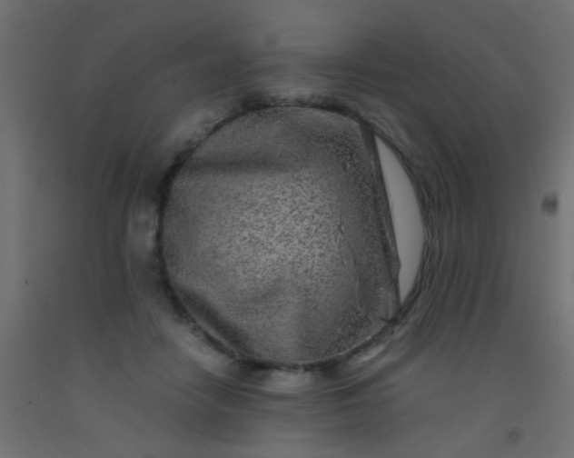 X0000093100458200710101541