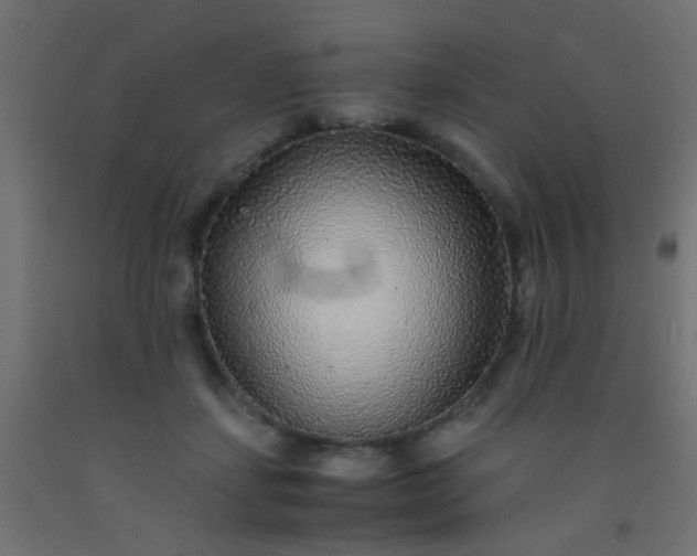 X0000093100459200710101541