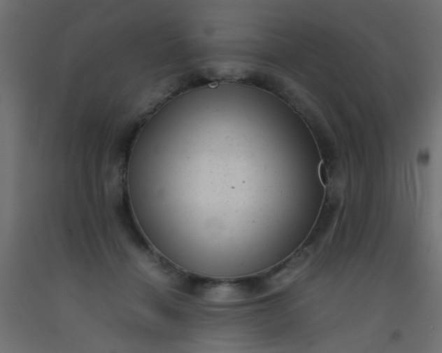X0000093100460200710101541