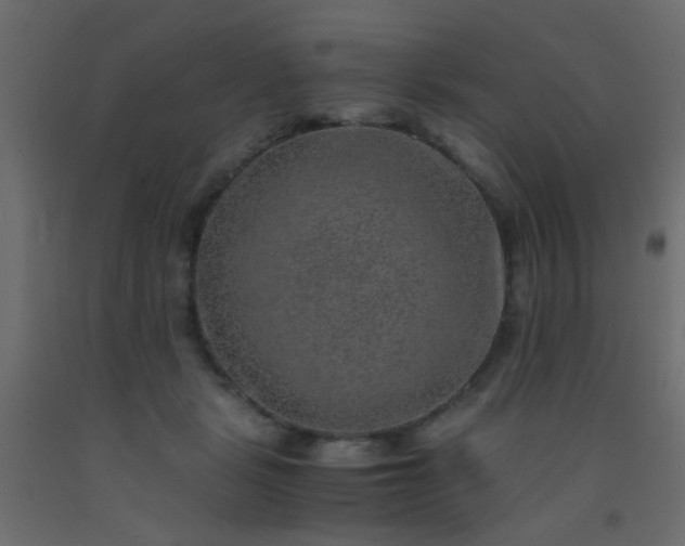 X0000093100461200710101541