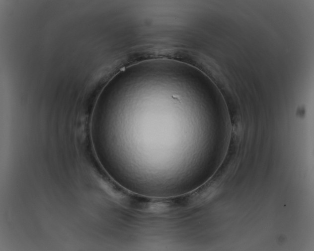 X0000093100462200710101541